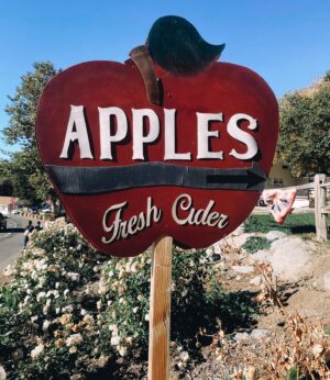 Chelsea Cook Instagram - Gala and pink lady apples are the best and that’s my… core belief.