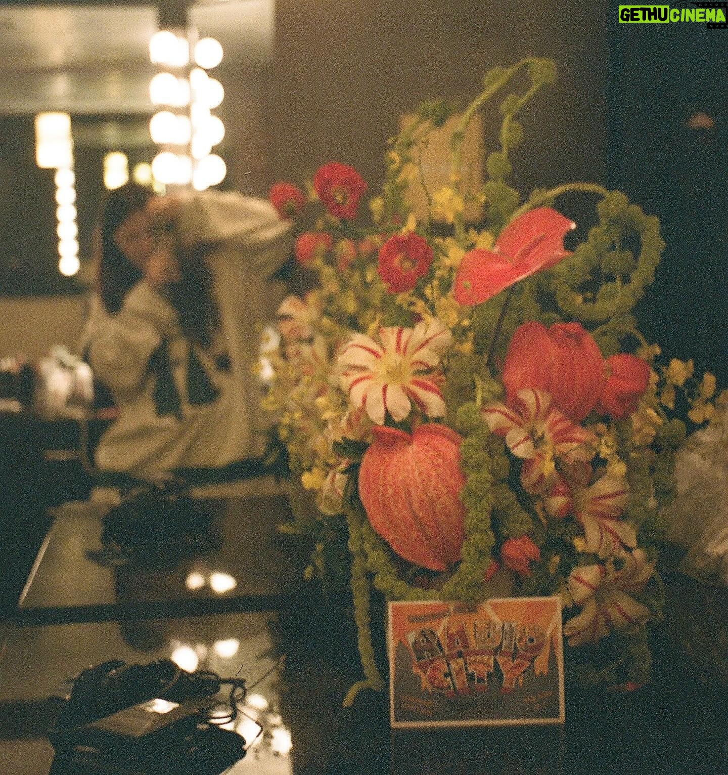 Chelsea Cutler Instagram - The Beauty Is Everywhere Tour on film