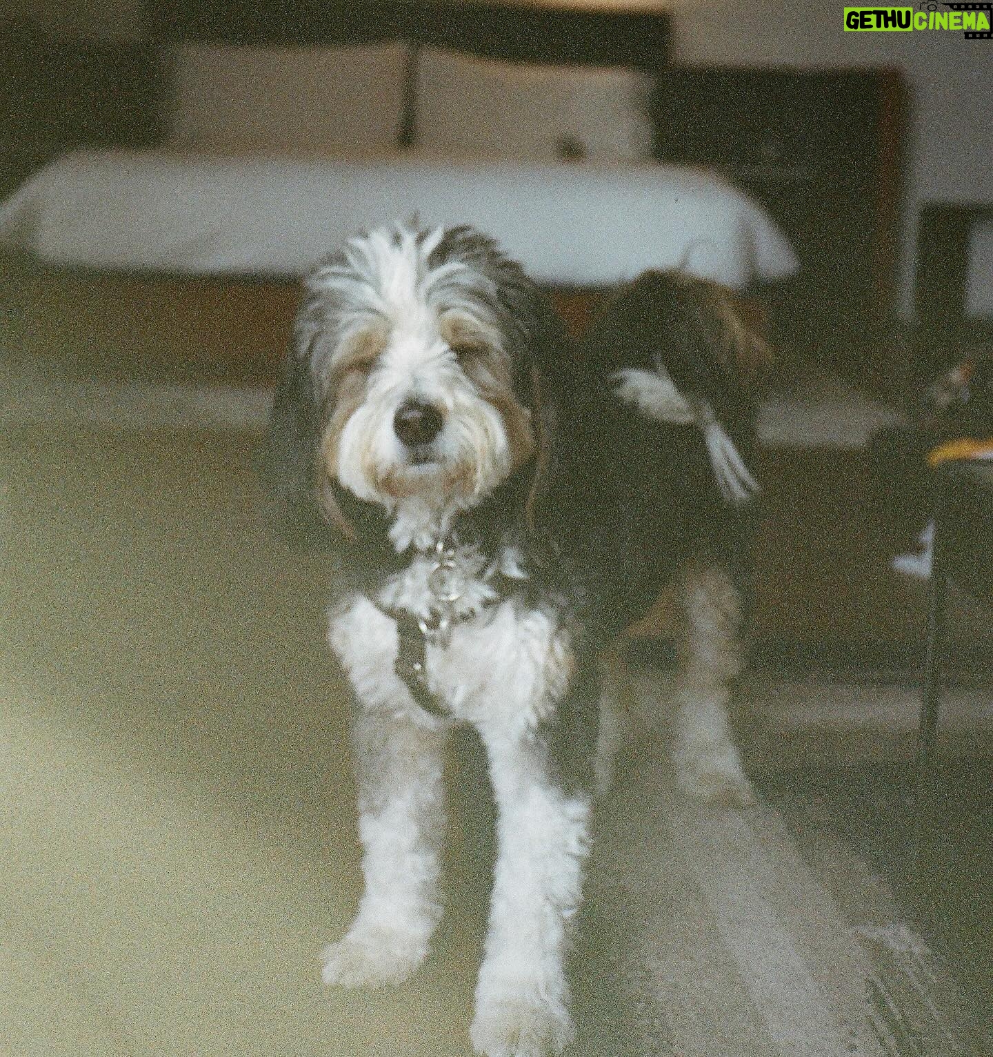 Chelsea Cutler Instagram - The Beauty Is Everywhere Tour on film