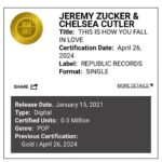 Chelsea Cutler Instagram - what in the world. double platinum. brent forever <3