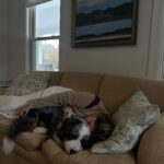 Chelsea Cutler Instagram - one week of Stellaria and idk where i am or what day of the month it is