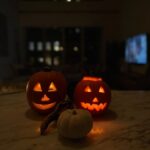 Chelsea Cutler Instagram - one week of Stellaria and idk where i am or what day of the month it is