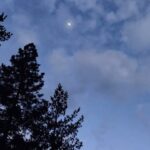 Chelsea Wolfe Instagram - dusk is that transitional phase between evening & night, beginning just after sundown. a time of vulnerability, it is equally full of magic & opportunity. will you share dusk with me? I invite you to capture your unique view of dusk in a favorite place & share with me at the link in bio for something special to come..
