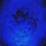 Chelsea Wolfe Instagram - my new song “Everything Turns Blue” is out today 💙 listen at link in bio watch the beautiful visualizer by @effixx on youtube 🥚 my new album She Reaches Out to She Reaches Out to She will be released February 9 on @lomavistarecordings