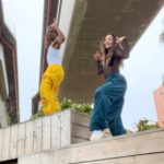 Chelsea Zhang Instagram - the resurrection of this song 💐✨🙌 dc: @fynnaves . . . . #teamo #dancechallenge #kulosa #kulosadancechallenge #rihanna