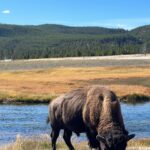 Chelsea Zhang Instagram – ayo 变成(biàn chéng) video 

Yellowstone 🦬✨⛰️ America’s 1st National Park ✔️
& no i don’t watch yellowstone 😂
