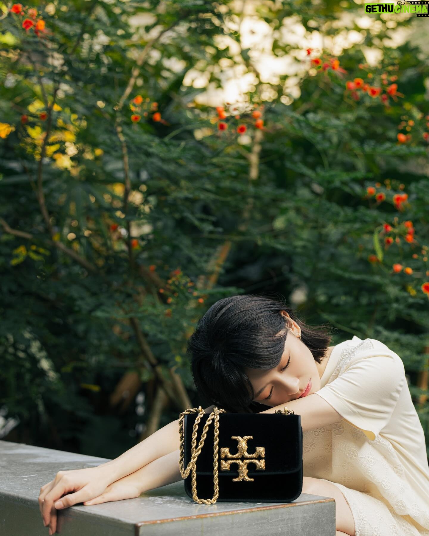 Chen Yan-Fei - 3 Likes - ☀️
冬天的暖陽♡
@toryburch
#toryburch #toryburchholidaycollection