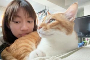 Actress Chen Yu HD Instagram Photos and Wallpapers February 2024