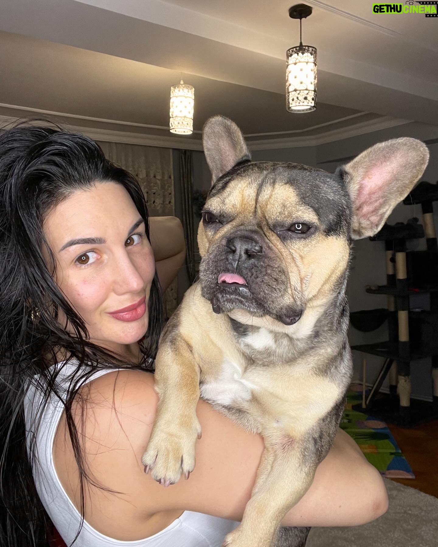 Cheyanne Buys Instagram - We had a quiet birthday party this year for my 3 year old. I can’t tell if he’s over it or loves it. Either way we love you Apollo 🫶🏼 the funniest most loyal dog I’ve ever had. To many more years 🎉