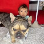 Cheyanne Buys Instagram - We had a quiet birthday party this year for my 3 year old. I can’t tell if he’s over it or loves it. Either way we love you Apollo 🫶🏼 the funniest most loyal dog I’ve ever had. To many more years 🎉