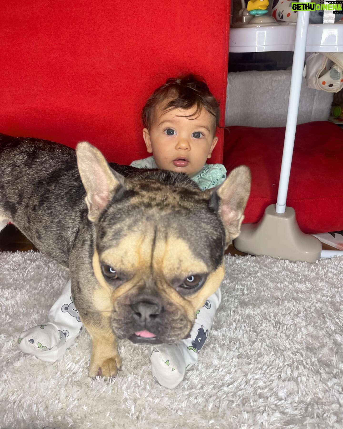 Cheyanne Buys Instagram - We had a quiet birthday party this year for my 3 year old. I can’t tell if he’s over it or loves it. Either way we love you Apollo 🫶🏼 the funniest most loyal dog I’ve ever had. To many more years 🎉