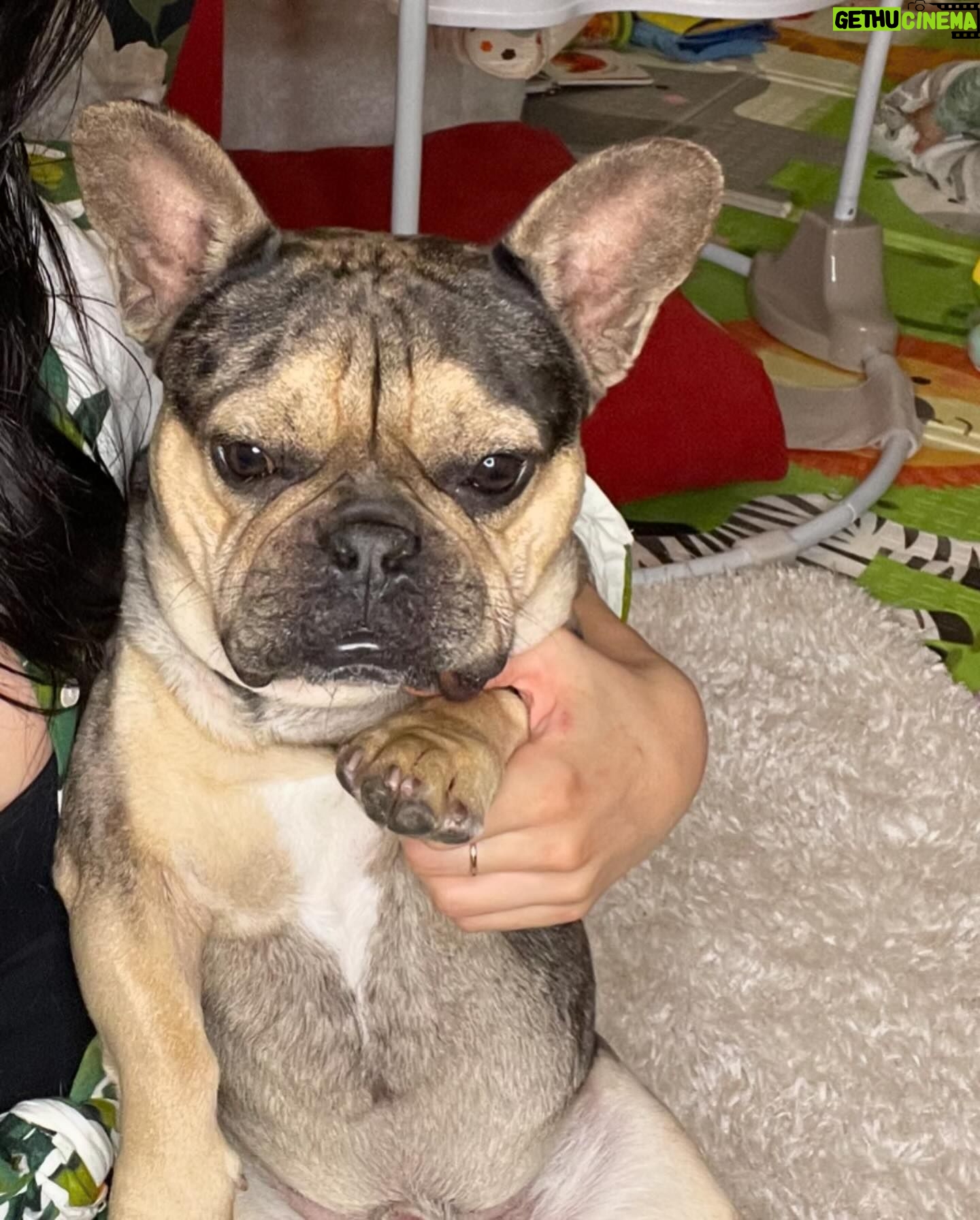 Cheyanne Buys Instagram - We had a quiet birthday party this year for my 3 year old. I can’t tell if he’s over it or loves it. Either way we love you Apollo 🫶🏼 the funniest most loyal dog I’ve ever had. To many more years 🎉