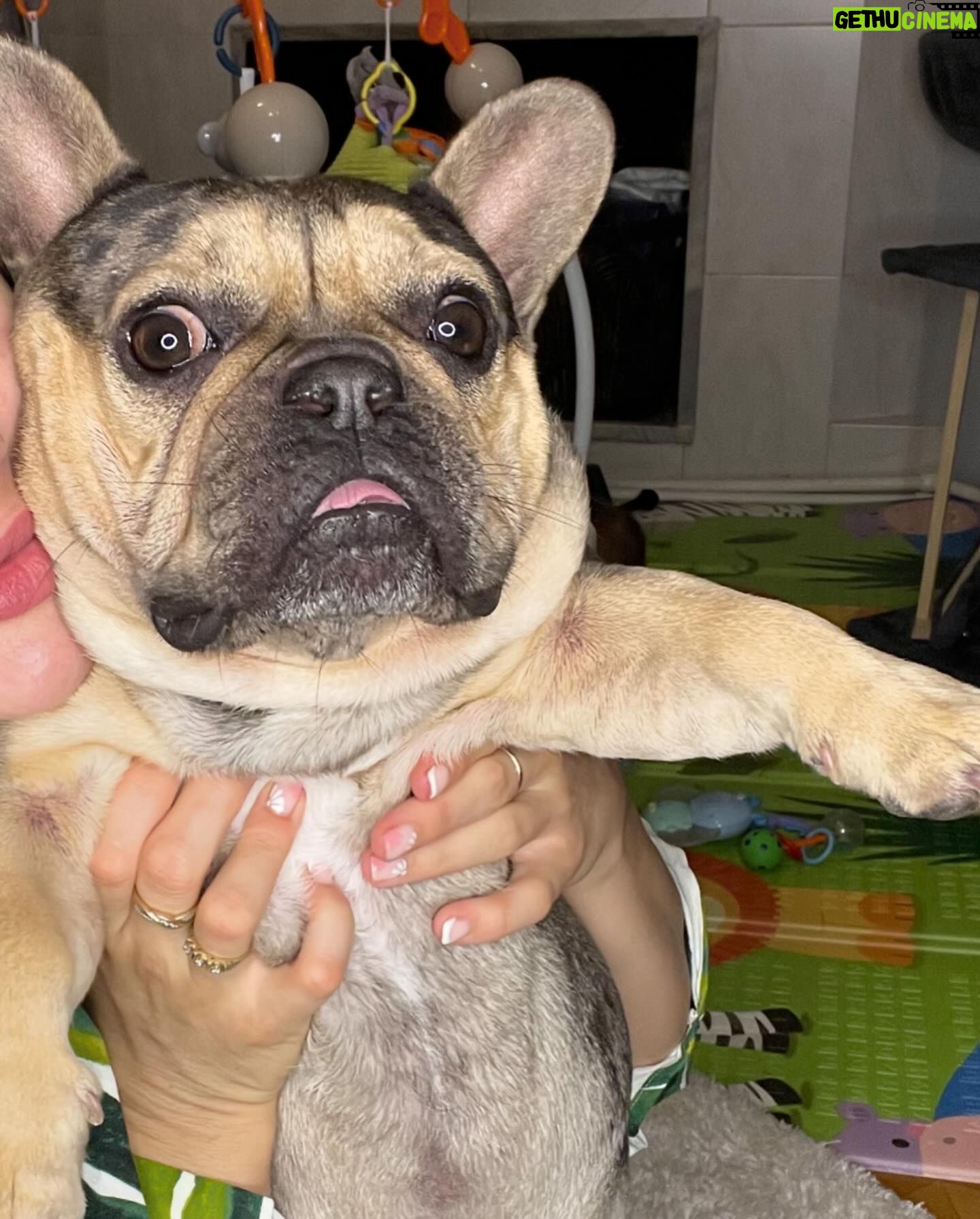 Cheyanne Buys Instagram - We had a quiet birthday party this year for my 3 year old. I can’t tell if he’s over it or loves it. Either way we love you Apollo 🫶🏼 the funniest most loyal dog I’ve ever had. To many more years 🎉