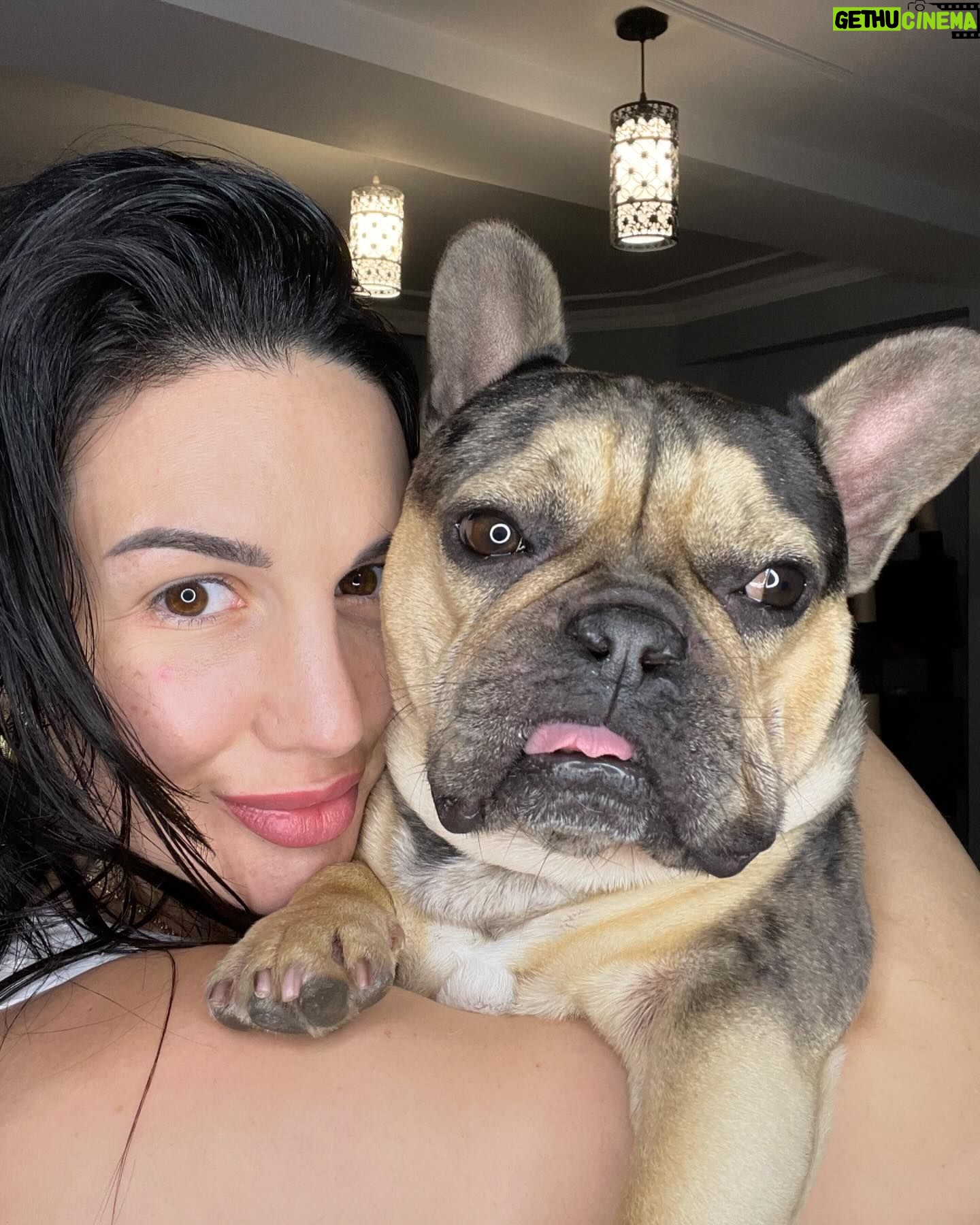 Cheyanne Buys Instagram - We had a quiet birthday party this year for my 3 year old. I can’t tell if he’s over it or loves it. Either way we love you Apollo 🫶🏼 the funniest most loyal dog I’ve ever had. To many more years 🎉