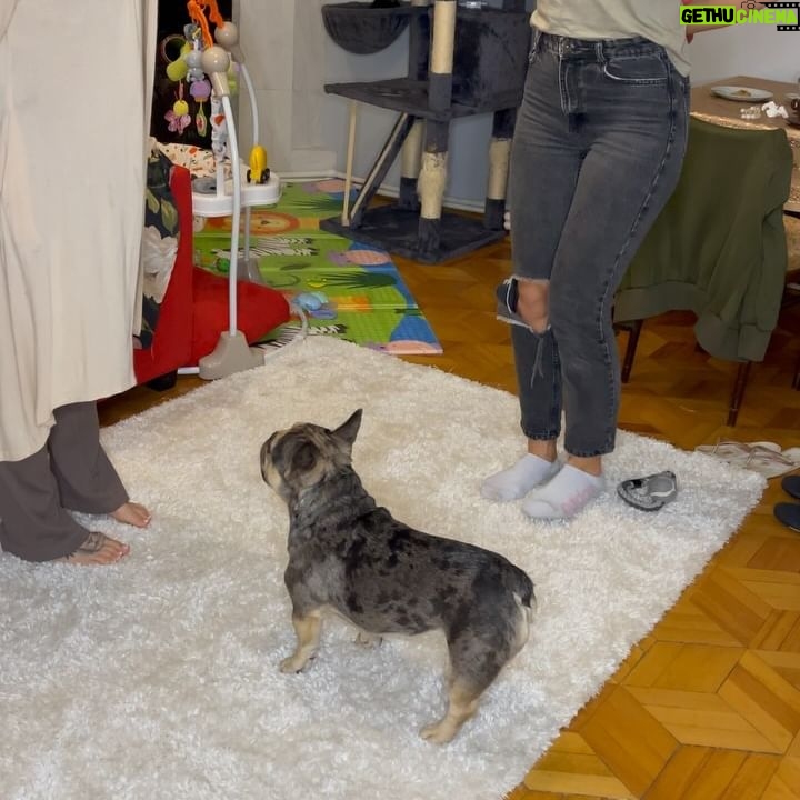 Cheyanne Buys Instagram - We had a quiet birthday party this year for my 3 year old. I can’t tell if he’s over it or loves it. Either way we love you Apollo 🫶🏼 the funniest most loyal dog I’ve ever had. To many more years 🎉