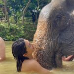 Cheyanne Buys Instagram – When I was a kid this was something I could only dream of. 
.
Now I can say I am living my dreams. 
Thank you 🇹🇭🐘🫶🏼