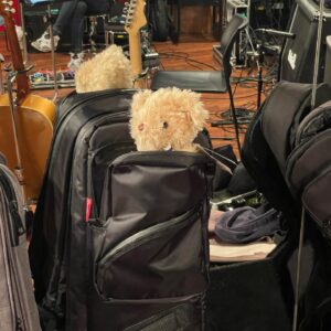 Chiai Fujikawa Instagram - リハ見守ってくれてたクマ。﻿
﻿
６月６日（日）誕生日配信ライブ、夜１９：００スタートです。配信チケット発売中！﻿
﻿
ひっさびさのライブ。﻿
﻿
図々しいですが、誕生日プレゼント代わりにライブ見てくれたら嬉しいです。﻿
﻿
新曲やりま〜〜〜す。﻿
﻿
ってクマも言ってます。