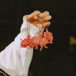 Chiai Fujikawa