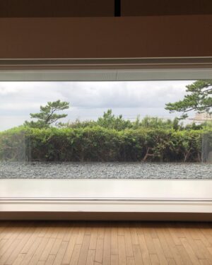 Chie Tsuji Instagram - 🕰🍃🌾💫