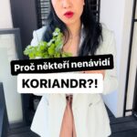 Chila Ta Thuy Instagram - Je náš vztah ke koriandru podmíněný naší genetikou, nebo si jen namlouváme, že nám nechutná? Náš štáb se vydal hledat odpověď. Do komentářů nám napište, jestli koriandr máte rádi, nebo máte jen špatný vkus. Přístí reportáž bude o největší dýni ve střední Evropě! #knedltv #koriandr #spetkachili
