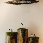 Chin-Lan Chang Instagram - #世界地球日 @menomeno_official 藉由這個一年一度的日子，邀請品牌摯友們一起體驗menomeno帶來的世界地球日🌎 一直都希望在活動上能夠有更多新意，於是我們邀請了植物風格師 Yuty @yuty_deco ，Yuty是我的植物啟蒙老師，真心愛著植物之外，也努力傳遞植物跟地球間的互動關係。 也邀請大家在三徑舊荒這個美麗的場域，一起體驗特別的花凍飲食，謝謝跟我一樣相同喜愛中華文化的主理人Vicky @hermits_hut 為我們帶來優雅的茶道展演跟解說，當天使用的是有機烏龍茶葉來沖泡，就跟 #Fc溫和潔面露 一樣 分享一下menomeno植物自萃的成分： #Fc溫和潔面露 一直是我們的明星商品，他使用了保健食品愛用的”超臨界萃取方式”來萃取重烘焙有機烏龍茶葉，茶多酚可以抗氧化，讓皮膚在清潔的過程也有更多的好處。 再來是 #Tn效能前導化妝水 裡面使用的有機柚花，柚花就是文旦的花，五年以上的文旦才會開始販售在市面上（因為才比較大顆），所以五年內的柚花都不能讓他結成果實，不然營養會無法儲存在樹中，柚花開的季節是每年的三四月，於是每年的年末menomeno就會開始尋找台灣有機的柚花田，並摘取果農不要的五年內的柚花，來作為品牌的自萃成分，我們一次會摘取一年的份量，如果台灣的柚花都被我摘完，我就會開始去種田（？）😆 我們的 #Fm全能修護面膜 也有很多愛好者，使用的是來自棉花而不是源自木頭來源的天絲白面膜，減少了需要漂白清洗產生更多廢水的問題。我們清洗面膜的水，也在日本工廠有自己的生態型循環，工廠也有自己的水庫，從布膜的織法跟整個布膜製程都盡可能的永續，每一片布膜來台灣之後，我們也都特別拿去EO滅菌並且獨立包裝，搭配保濕劑取代防腐劑的設定，讓使用片狀布膜過敏的機會大幅降低。 在這個世界地球日，結合了亞洲的茶道及從陽光、空氣、水等細節延伸出來愛護植物的方式，不管是對土壤、肥料、介質、小豆樹都有新的認識，認識植物就像認識地球的肌膚一樣如此的重要，希望更多人愛護植物，也希望更多人愛護自己的肌膚。 menomeno邀請有影響力的品牌摯友們 @chen_ai_ling51 @patty11266924 @lannychenchu @hannahwish @love_loyi 一起體驗我們傳遞永續的方式～藉此也想分享給看文章的各位，從愛自己的肌膚及愛地球的肌膚開始，慢慢感受及體驗對世界的愛❤️ #menomeno #呵護自己與地球的肌膚 #treesfortheearth🌍