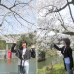 Chisato Moritaka Instagram - ⁡ 2024「今度はモアベターよ！」 4月14日　新潟 加茂文化会館　終了しました！   加茂の皆さんはとっても元気で明るくて温かかったです。 大きな声援ありがとうございました。 ニコニコ笑顔がよーく見えましたよー！   今日は加茂市のおでかけスポットも巡りました。 加茂川に架かった大きな鯉のぼりは圧巻でした～。   皆さんの地元のおすすめスポットやグルメもぜひ教えてくださいね～！ 今度はあなたの街にお邪魔するカモ？   次は 4月20日　和歌山 紀南文化会館　です。   #chisatomoritaka #森高千里 #今度はモアベターよ #新潟県加茂市 #加茂文化会館 #下条川ダム #加茂川 #鯉のぼり #加茂山公園 #AMEYAAISU #加茂特産品センター の「#かも汁」 #越後クラフト屋 の「#越後クラフトコーラ」 #涌井金太郎商店 の「#笹だんご」 #田辺菓子舗 の「#たなべのかりん糖」 #ぱすたみすた の「#マカロニチップス」 #浪花屋製菓株式会社 の「#ニイガタアゲアゲのりピーナ」 #新潟交通商事 の「#レルヒさんのノッポカツ棒」 #亀田製菓株式会社 の「#サラダホープ」「#亀田の柿の種」 #アジカル #せきとり の「#せきとり監修カレー揚せん」