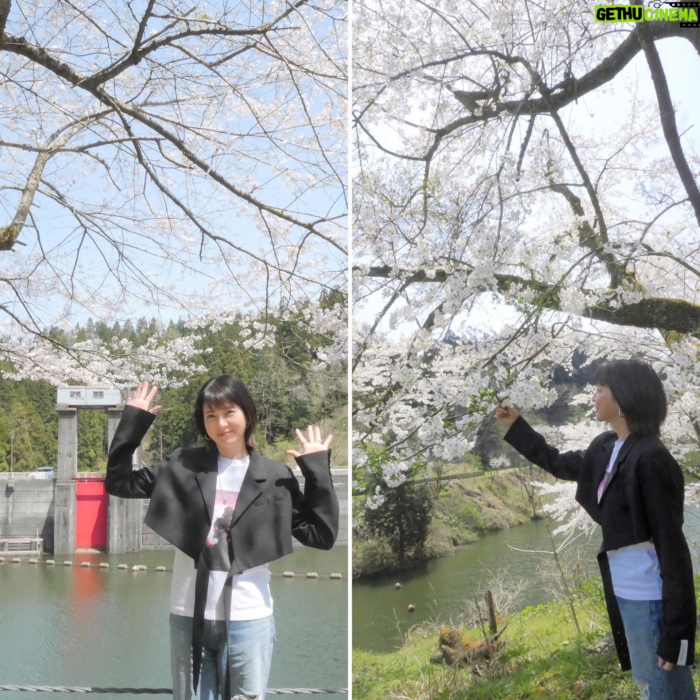 Chisato Moritaka Instagram - 2024「今度はモアベターよ!」 4月14日 新潟 加茂文化会館 終了しました! 加茂の皆さんはとっても元気で明るくて温かかったです。 大きな声援ありがとうございました。 ニコニコ笑顔がよーく見えましたよー! 今日は加茂市のおでかけスポットも巡りました。 加茂川に架かった大きな鯉のぼりは圧巻でした~。 皆さんの地元のおすすめスポットやグルメもぜひ教えてくださいね~! 今度はあなたの街にお邪魔するカモ? 次は 4月20日 和歌山 紀南文化会館 です。 #chisatomoritaka #森高千里 #今度はモアベターよ #新潟県加茂市 #加茂文化会館 #下条川ダム #加茂川 #鯉のぼり #加茂山公園 #AMEYAAISU #加茂特産品センター の「#かも汁」 #越後クラフト屋 の「#越後クラフトコーラ」 #涌井金太郎商店 の「#笹だんご」 #田辺菓子舗 の「#たなべのかりん糖」 #ぱすたみすた の「#マカロニチップス」 #浪花屋製菓株式会社 の「#ニイガタアゲアゲのりピーナ」 #新潟交通商事 の「#レルヒさんのノッポカツ棒」 #亀田製菓株式会社 の「#サラダホープ」「#亀田の柿の種」 #アジカル #せきとり の「#せきとり監修カレー揚せん」