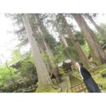 Chisato Moritaka Instagram - ⁡ 2024「今度はモアベターよ！」 5月12日　福井 フェニックス・プラザ　終了しました！   約3年ぶりの福井でのコンサートでした。 集まってくださった皆さん楽しんでもらえましたかー！   私は大好きなソースカツ丼を食べて元気モリモリでしたよ～。   福井ではずっと行きたかった「永平寺」に行けました。 自然に触れながら厳かな気持ちで参拝できました。   そして、とても風情溢れる水車がある 「一乗あさくら水の駅」にも立ち寄ることができました。   今日は福井のおいしい食べ物＆おいしい空気と 皆さんの声援で最高の1日でした！ありがとうございました！   次は 5月18日　静岡 沼津市民文化センター　です。   #chisatomoritaka #森高千里 #今度はモアベターよ #福井県福井市 #フェニックスプラザ #一乗谷あさくら水の駅 #永平寺 #山侊 の「#御利益だんご」 #ヨーロッパ軒 の「#ソースカツ丼」「#エビ丼」 #番匠本店 の「#越前かにめし」「#永平寺ごま味噌焼き鯖寿し」 #ガトーケイイチ の「#フィナンシェ」 #親玉菓舗 の「#碌寶焼」 #お菓子処丸岡家 の「#はっくつバウム」 #マエダセイカ の「#生羽二重餅」「#はぶたえいも子」「#はぶたえいち子あん」 #恐竜菓子店 の「#福井駅ティラノ缶」 #奥井海生堂 の「#おぼろのり」「#わさび昆布シリーズ」