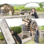 Chisato Moritaka Instagram - ⁡ 2024「今度はモアベターよ！」 5月12日　福井 フェニックス・プラザ　終了しました！   約3年ぶりの福井でのコンサートでした。 集まってくださった皆さん楽しんでもらえましたかー！   私は大好きなソースカツ丼を食べて元気モリモリでしたよ～。   福井ではずっと行きたかった「永平寺」に行けました。 自然に触れながら厳かな気持ちで参拝できました。   そして、とても風情溢れる水車がある 「一乗あさくら水の駅」にも立ち寄ることができました。   今日は福井のおいしい食べ物＆おいしい空気と 皆さんの声援で最高の1日でした！ありがとうございました！   次は 5月18日　静岡 沼津市民文化センター　です。   #chisatomoritaka #森高千里 #今度はモアベターよ #福井県福井市 #フェニックスプラザ #一乗谷あさくら水の駅 #永平寺 #山侊 の「#御利益だんご」 #ヨーロッパ軒 の「#ソースカツ丼」「#エビ丼」 #番匠本店 の「#越前かにめし」「#永平寺ごま味噌焼き鯖寿し」 #ガトーケイイチ の「#フィナンシェ」 #親玉菓舗 の「#碌寶焼」 #お菓子処丸岡家 の「#はっくつバウム」 #マエダセイカ の「#生羽二重餅」「#はぶたえいも子」「#はぶたえいち子あん」 #恐竜菓子店 の「#福井駅ティラノ缶」 #奥井海生堂 の「#おぼろのり」「#わさび昆布シリーズ」