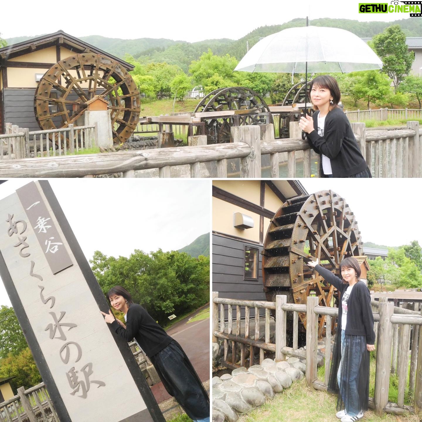 Chisato Moritaka Instagram - 2024「今度はモアベターよ!」 5月12日 福井 フェニックス・プラザ 終了しました! 約3年ぶりの福井でのコンサートでした。 集まってくださった皆さん楽しんでもらえましたかー! 私は大好きなソースカツ丼を食べて元気モリモリでしたよ~。 福井ではずっと行きたかった「永平寺」に行けました。 自然に触れながら厳かな気持ちで参拝できました。 そして、とても風情溢れる水車がある 「一乗あさくら水の駅」にも立ち寄ることができました。 今日は福井のおいしい食べ物&おいしい空気と 皆さんの声援で最高の1日でした!ありがとうございました! 次は 5月18日 静岡 沼津市民文化センター です。 #chisatomoritaka #森高千里 #今度はモアベターよ #福井県福井市 #フェニックスプラザ #一乗谷あさくら水の駅 #永平寺 #山侊 の「#御利益だんご」 #ヨーロッパ軒 の「#ソースカツ丼」「#エビ丼」 #番匠本店 の「#越前かにめし」「#永平寺ごま味噌焼き鯖寿し」 #ガトーケイイチ の「#フィナンシェ」 #親玉菓舗 の「#碌寶焼」 #お菓子処丸岡家 の「#はっくつバウム」 #マエダセイカ の「#生羽二重餅」「#はぶたえいも子」「#はぶたえいち子あん」 #恐竜菓子店 の「#福井駅ティラノ缶」 #奥井海生堂 の「#おぼろのり」「#わさび昆布シリーズ」