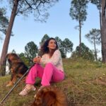 Chitrashi Rawat Instagram - With Pahadi beauties from @birterraces Let me introduce our fun trekking partners 🐕 Jack - the protector Zoey- the smarty one Grabber- the naughty boy Kallu- the fomo one They were an absolute delight to be around♥️ Miss them :)