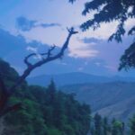 Chitrashi Rawat Instagram - Sunday Dump 🌸 from #apriltravel … last two videos are just bua duty on point 😜 #chitstravels #pahadan #pahad #uttrakhand_dairies #goadiary #albi #buaniecelove❤️❤️