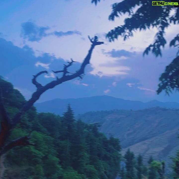 Chitrashi Rawat - 3.5K Likes - Sunday Dump 🌸 from #apriltravel … last two videos are just bua duty on point 😜
#chitstravels #pahadan #pahad #uttrakhand_dairies #goadiary #albi #buaniecelove❤️❤️