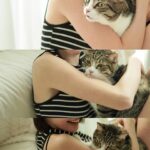 Chloe So Instagram – 中秋節快樂🐱
@hahakirac 到訪
可以幫我同皮皮影親子相🥲
#這段感情只有我在付出