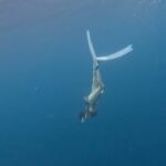Chloe So Instagram - ❤️🌊 兩年前已經想學free diving 終於🥲🥲
