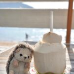 Chloe So Instagram – ☀️🦔