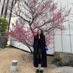 Choi Hee-seo