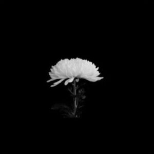 Choi Kang-hee Instagram - 지금 당장 위로할 방법을 모르겠어서 마음의 기도가 닿기만을 소원합니다
미안합니다.