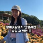Choi Hee Instagram - 현시점 가장 장미꽃 예쁘게 핀 곳 👉부천 장미축제가 한창인 도당공원이에요! 6/9까지 열린다고 하니 가까우신 분들은 구경가보세요. 인생사진도 남길 수 있어요! 단 주차가 매우 어려우니 참고🛎️