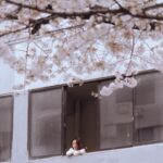 Choi Ji-hye Instagram -