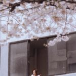 Choi Ji-hye Instagram –