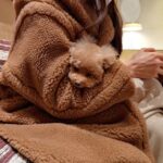 Choi Ji-woo Instagram - 🐶🧸🤎 편하니?