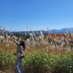 Choi Ji-woo Instagram - 🍁🍂🌾🤎
