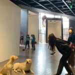 Choi Ji-woo Instagram – #leeum_exhibition 
#mauriziocattelan