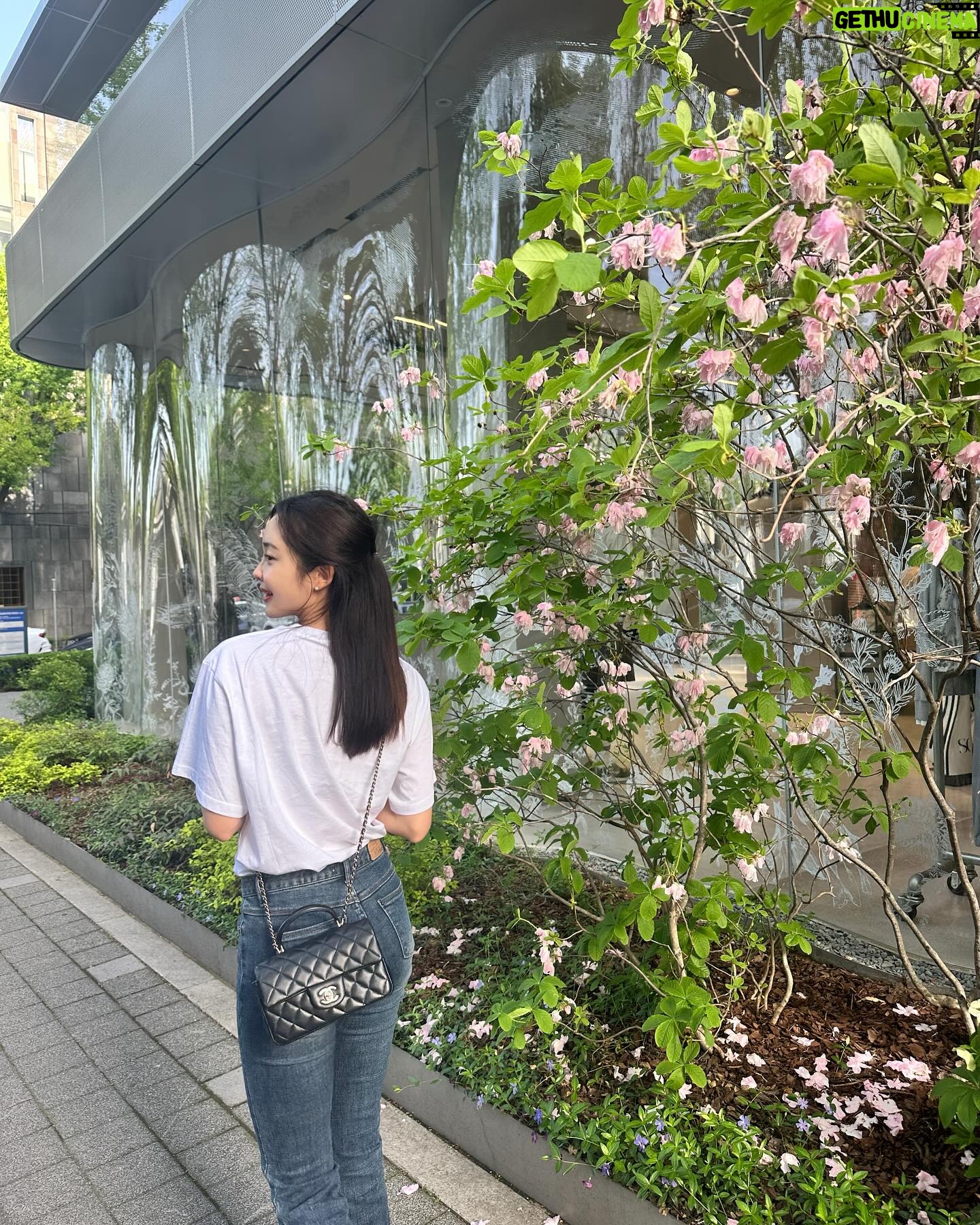 Choi Seol-hwa Instagram - . ν₯κΈ°λ‘μπΈπ