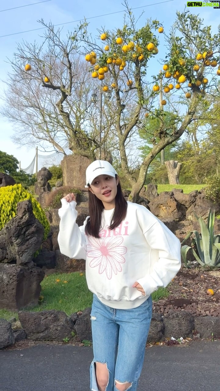 Choi Seol-hwa Instagram - . 꽁꽁 얼어붙은 한강 위로 고양이가 걸어 다닙니다🐈 막차!