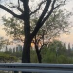 Choi Seol-hwa Instagram - 요즘 실내에서 햇볕 못보고 사느라 일 빨리 끝내고 지난 일욜에 한강 다녀왔는데 다녀오길 넘 잘함!! 어제부터 주구장창 비만 오눼🤭