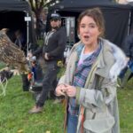 Christa Miller Instagram - Introducing #Shrinking Season 2’s newest crew member, Lowell the owl! Fun fact, parts of LA are filled with wild green parrots who typically have a lot to say, which can make filming difficult. Lowell here keeps the parrots away so that we can film in peace! 🦜 💛🦉 @greglauren @jenmeyerjewelry