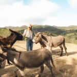 Christa Miller Instagram – Sometimes you just need to spend the day with horses and donkeys who want cookies and cuddles and then your heart is full 😊🍪 The work @skydogsanctuary does rescuing wild horses who’ve been rounded up by the BLM is absolutely amazing. Please check them out and support if you can! 🐴💛

📸 @catielaffoon