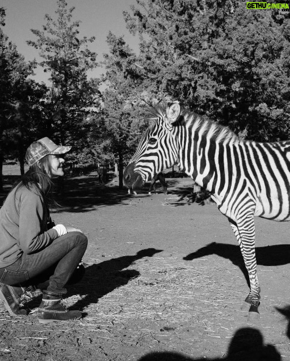 Christa Miller Instagram - #SkydogRanch is a forever home for wild mustangs and burros who have ended up in horrible and dangerous situations - at kill pens, at auctions, or in unloving homes where they have often been starved and neglected. They have locations in Malibu California as well as a 9,000-acre ranch near Bend, Oregon. It was an incredible experience to visit their Oregon location earlier this month and I'm so excited to share that I've officially joined the board of directors!!! @skydogsanctuary is led by my friend, Clare Staples and I'm thrilled to join her on a mission to rescue at-risk mustangs and burros across America and reunite families torn apart during brutal roundups. All of the wild horses and burros that are at Skydog are treated with the utmost kindness and respect. They leave in peace the ones who want to be left alone and give others the love and compassion that they have not experienced from people before.